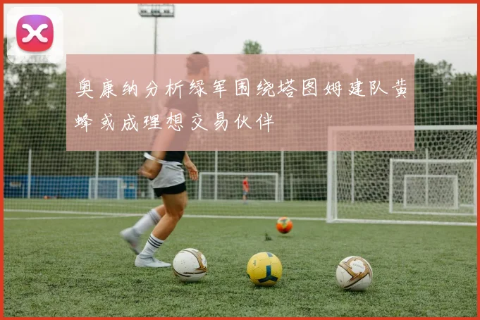 奥康纳分析绿军围绕塔图姆建队黄蜂或成理想交易伙伴